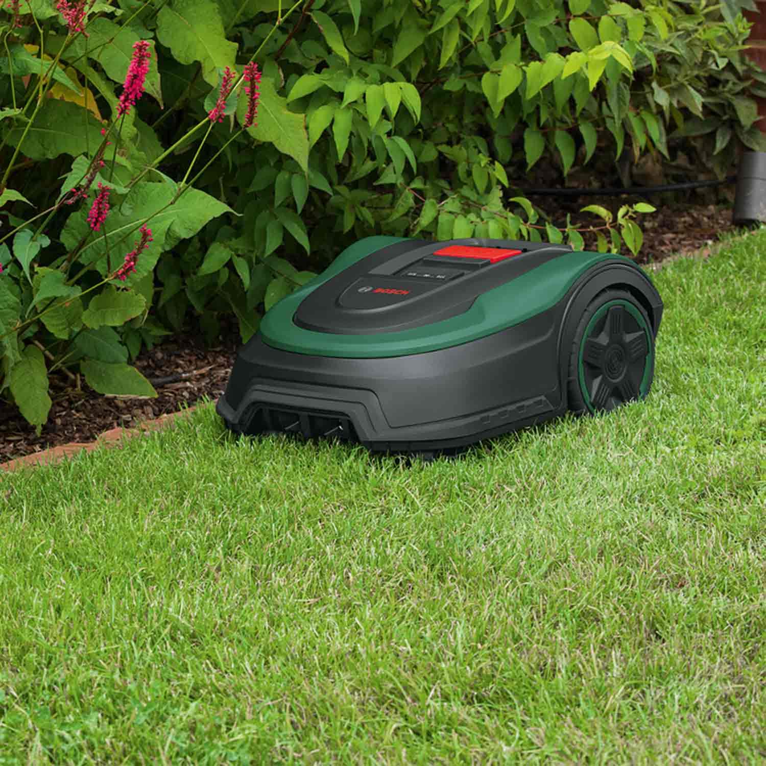 Bosch Home and Garden Indego XS 300 Robotmaaier (met geïntegreerde 18 V-accu, inclusief laadstation, snijbreedte 19 cm, voor gazons tot 300 m², in doos) Zwart, Groen 