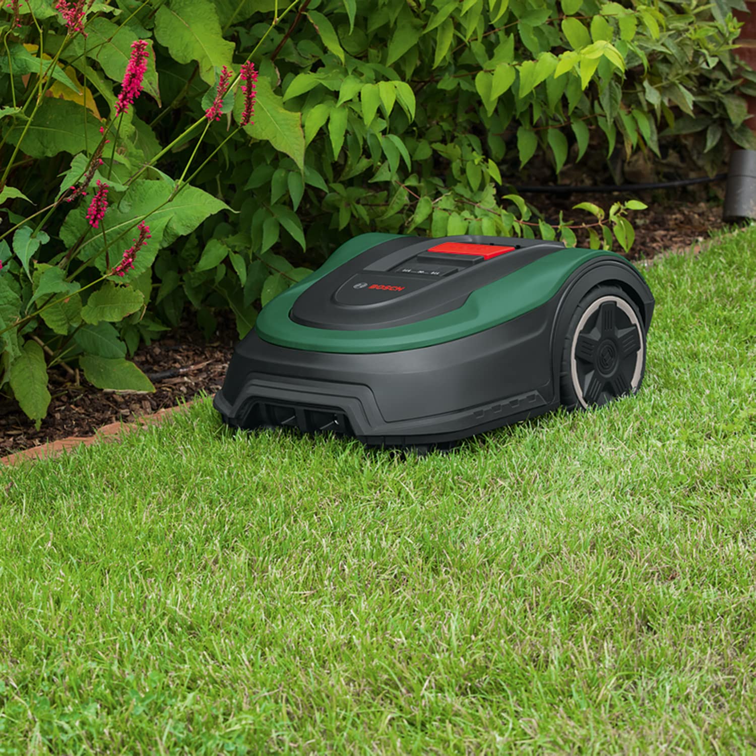 Bosch Home and Garden Indego XS 300 Robotmaaier (met geïntegreerde 18 V-accu, inclusief laadstation, snijbreedte 19 cm, voor gazons tot 300 m², in doos) Zwart, Groen 